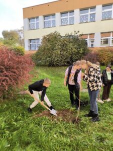Zdjęcie z projektu