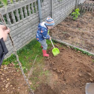 Zdjęcie z projektu