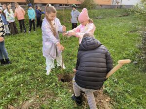 Zdjęcie z projektu