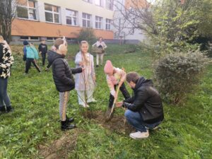Zdjęcie z projektu