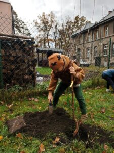 Zdjęcie z projektu