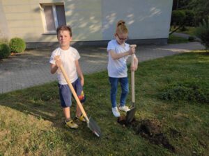 Zdjęcie z projektu
