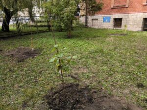 Zdjęcie z projektu