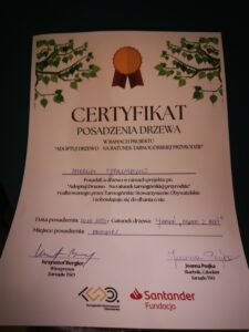 Zdjęcie z projektu