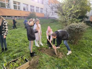 Zdjęcie z projektu