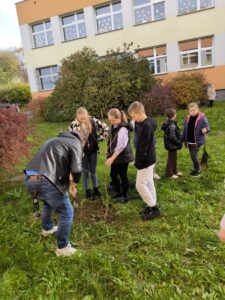 Zdjęcie z projektu