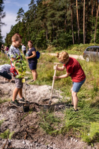 Zdjęcie z projektu