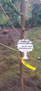 Zdjęcie z projektu